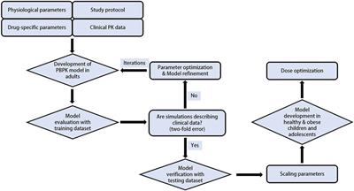 Prediction of pediatric dose of tirzepatide from the reference adult dose using physiologically based pharmacokinetic modelling